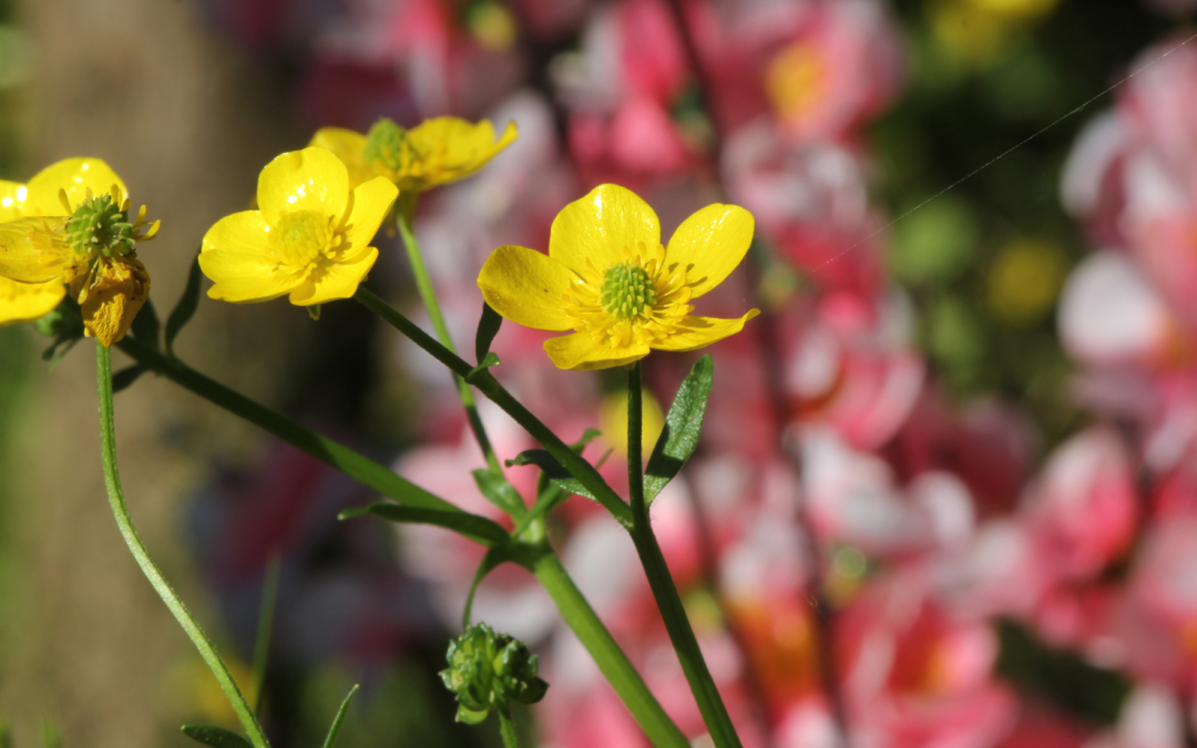PureNews – March 2024